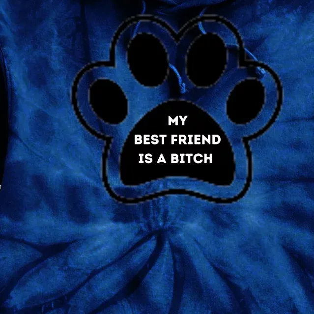 Funny My Best Friend Is A Bitch! Dog Lover Tie Dye Hoodie