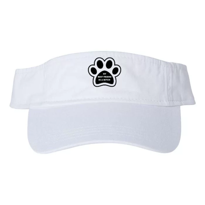 Funny My Best Friend Is A Bitch! Dog Lover Valucap Bio-Washed Visor