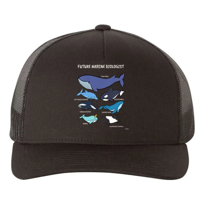 Future Marine Biologist Types of Whales and Dolphins Whale Yupoong Adult 5-Panel Trucker Hat