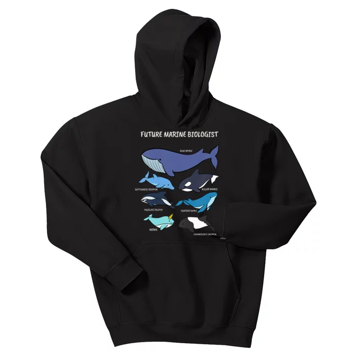 Future Marine Biologist Types of Whales and Dolphins Whale Kids Hoodie