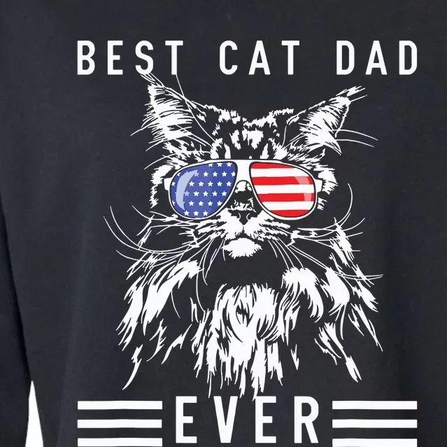 Funny Maine Coon Cat Best Cat Dad Ever Funny Cat Maine Coon Cropped Pullover Crew