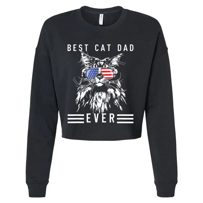 Funny Maine Coon Cat Best Cat Dad Ever Funny Cat Maine Coon Cropped Pullover Crew