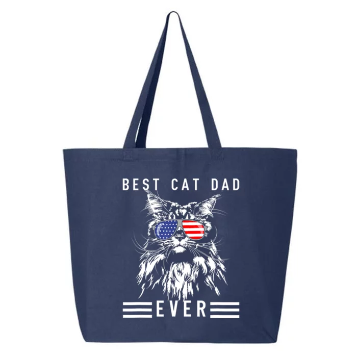 Funny Maine Coon Cat Best Cat Dad Ever Funny Cat Maine Coon 25L Jumbo Tote