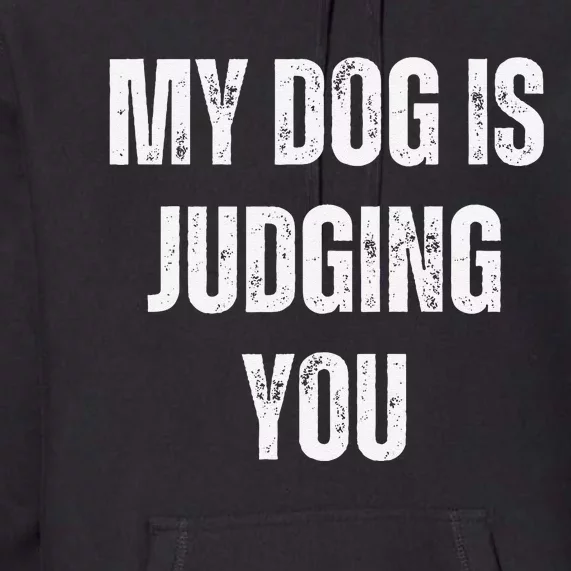 Funny My Dog Is Judging You Funny Dog Lover Premium Hoodie