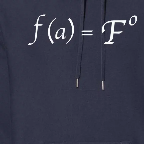 FAFO Math Equation Premium Hoodie