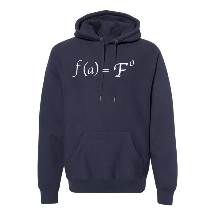 FAFO Math Equation Premium Hoodie