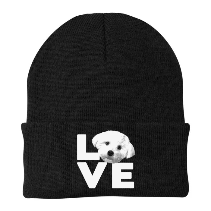 Funny Maltese For Dog Lover Groomer Owner Puppy Knit Cap Winter Beanie