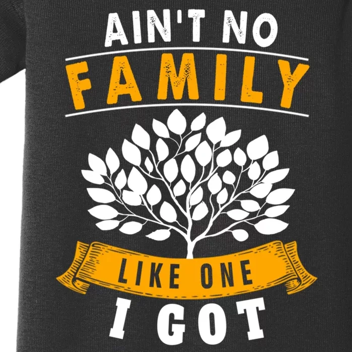 Funny Matching Family Gift Aint No Family Like The One I Got Baby Bodysuit