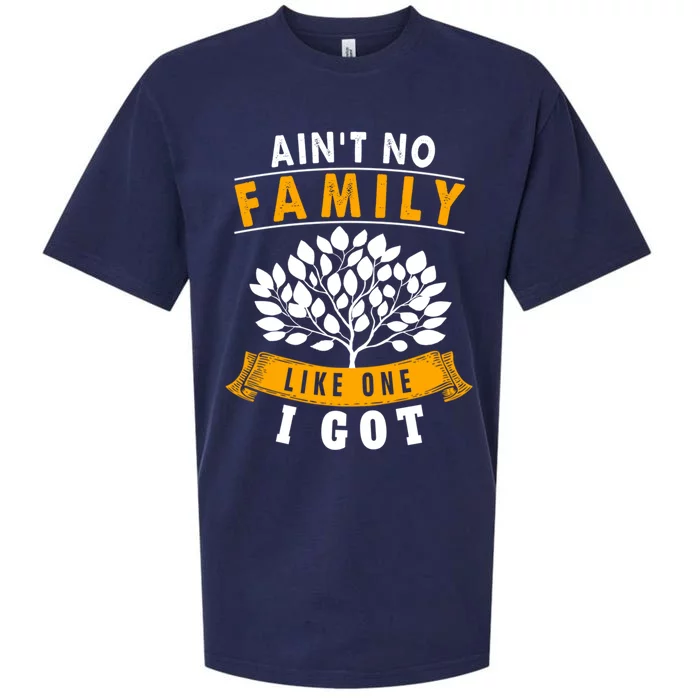 Funny Matching Family Gift Aint No Family Like The One I Got Sueded Cloud Jersey T-Shirt