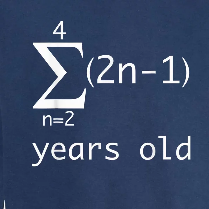 Funny Math Geek Shirt-15th Birthday 15 Years Old Boy, Girl Garment-Dyed Sweatshirt