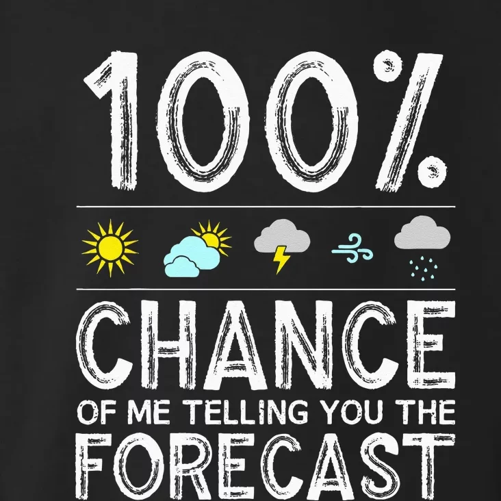 Funny Meteorology Gift Weather Enthusiasts Cool Weatherman Toddler Hoodie