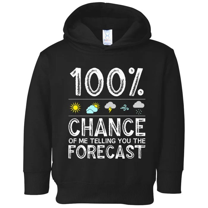 Funny Meteorology Gift Weather Enthusiasts Cool Weatherman Toddler Hoodie