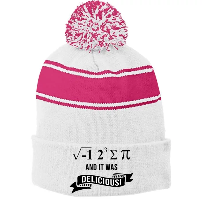 Funny Math Geeks Engineering Majors And Teens Great Gift Stripe Pom Pom Beanie