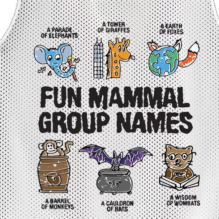 Fun Mammal Group Names Mesh Reversible Basketball Jersey Tank