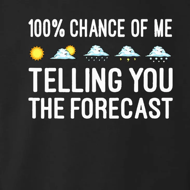 Funny Meteorology Gift Weather Enthusiasts Cool Weatherman Toddler Hoodie