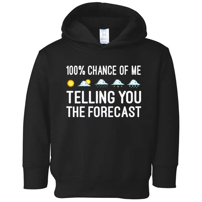 Funny Meteorology Gift Weather Enthusiasts Cool Weatherman Toddler Hoodie