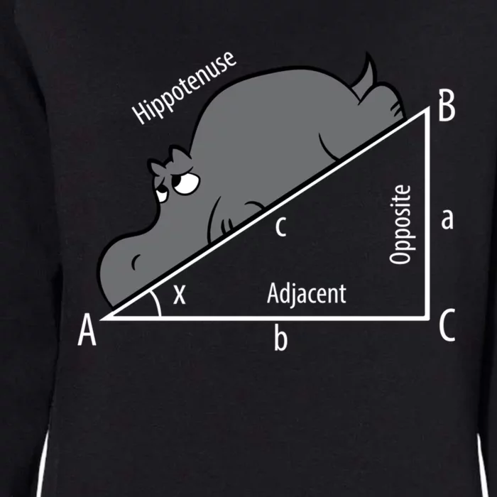 Funny Math Humor Hippotenuse Funny Hippo Math Analytical Hypotenuse Womens California Wash Sweatshirt