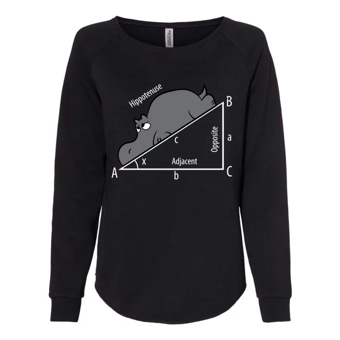 Funny Math Humor Hippotenuse Funny Hippo Math Analytical Hypotenuse Womens California Wash Sweatshirt