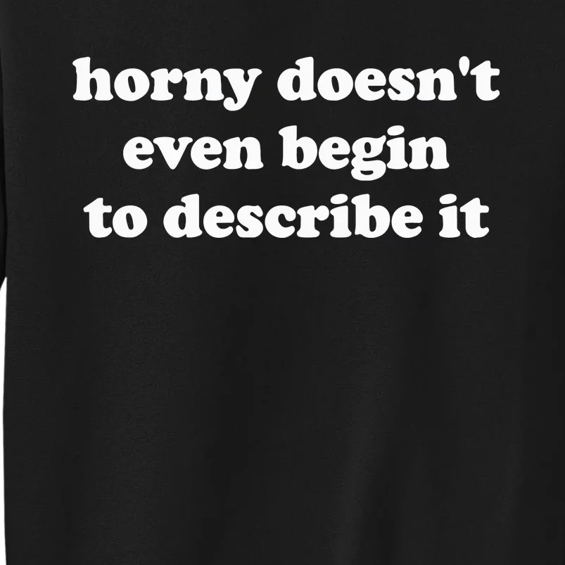 Funny Meme Horny Doesnt Even Begin To Describe It Joke Sweatshirt