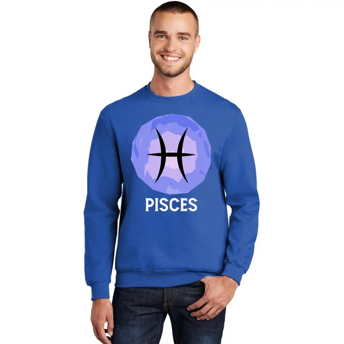 February March Horoscope Pisces Star Zodiac Sign Gift Sweatshirt