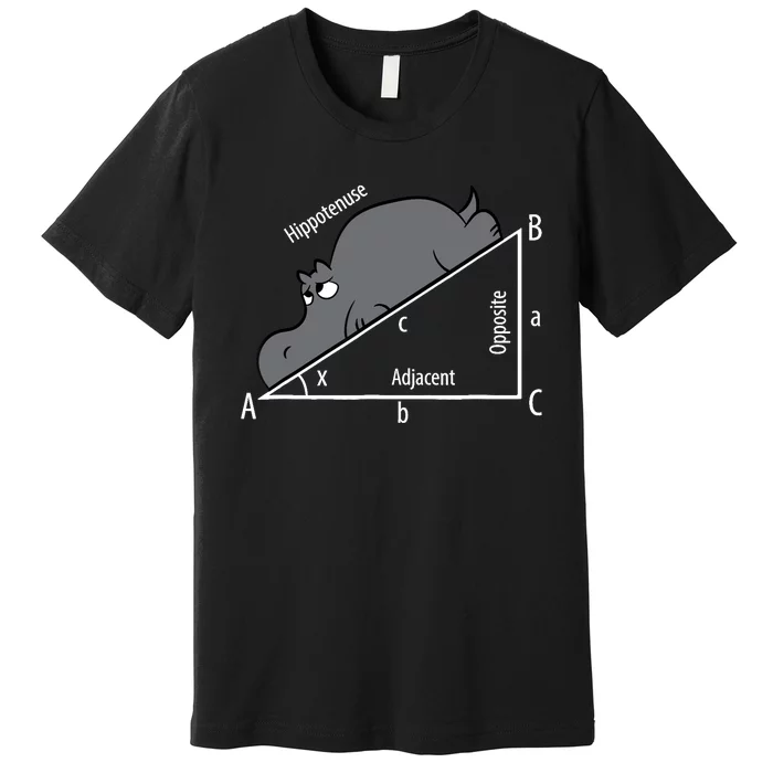 Funny Math Humor Hippotenuse Hypotenuse Funny Premium T-Shirt