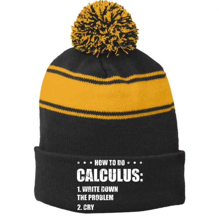 Funny Math How To Do Calculus Funny Algebra Stripe Pom Pom Beanie