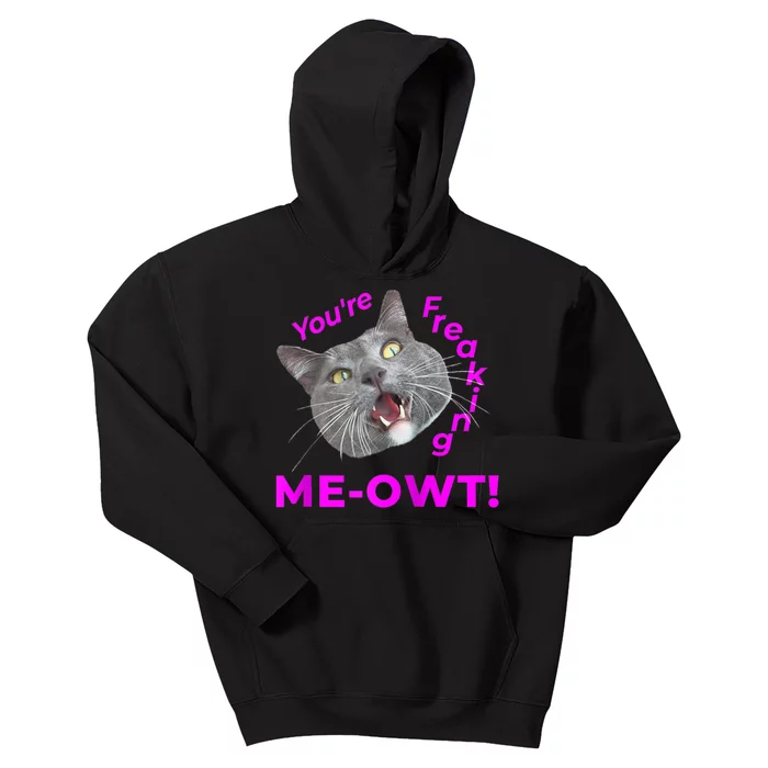 Freaking Meowt Kitten Me Right Meow Meme Funny Cat Pun Raglan Kids Hoodie