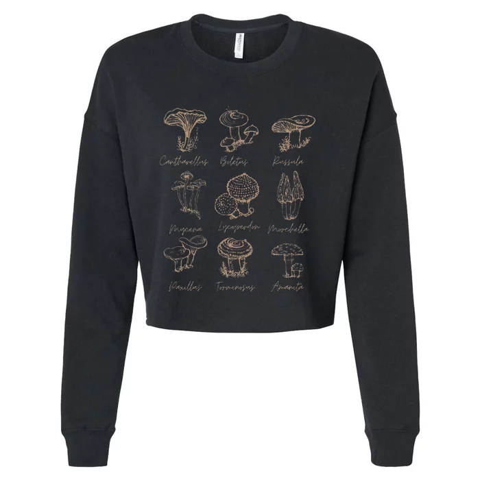 Fungi Mushroom Lover Mycology Vintage Goth Style Cropped Pullover Crew