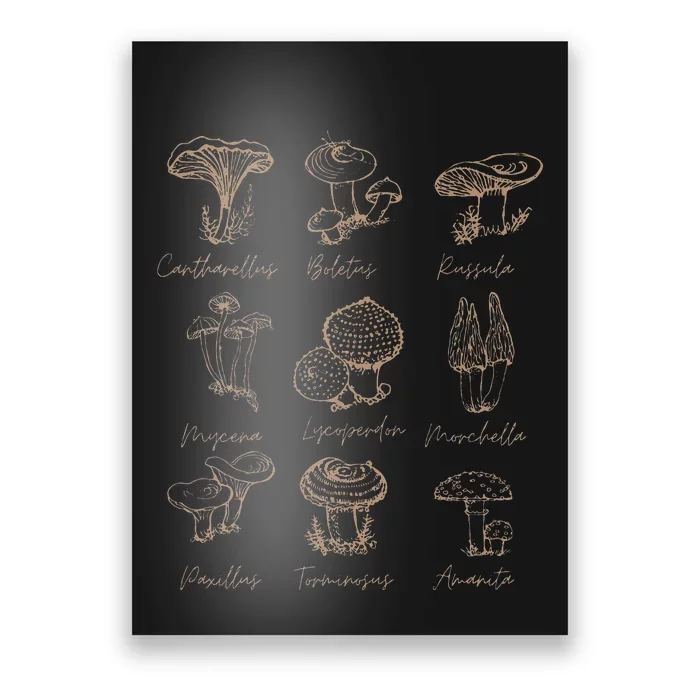 Fungi Mushroom Lover Mycology Vintage Goth Style Poster