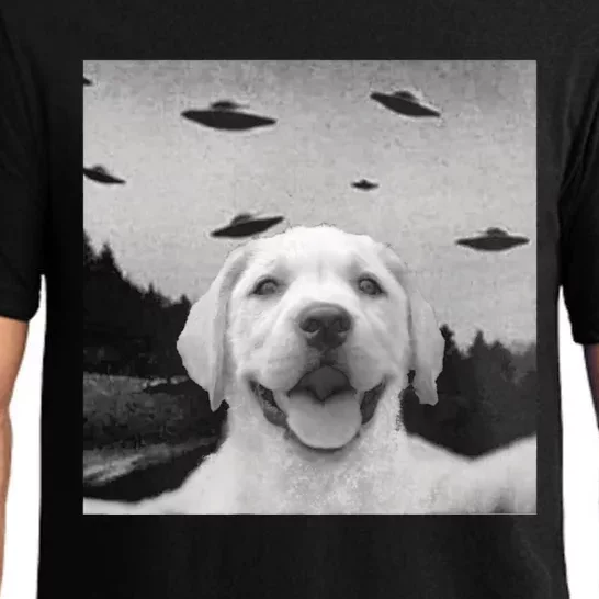 Funny Meme Labrador Selfie With Alien Ufos Funny Dog Lovers Aliens Ufo Pajama Set