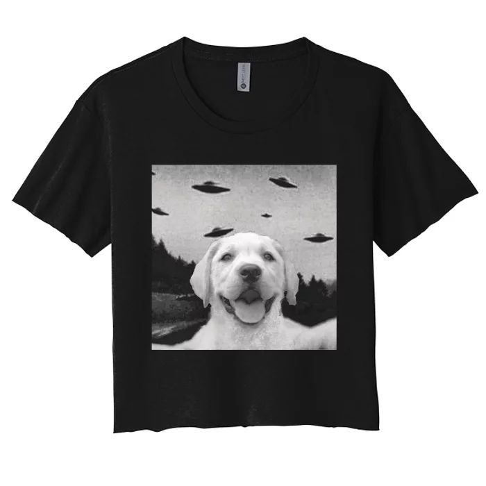 Funny Meme Labrador Selfie With Alien Ufos Funny Dog Lovers Aliens Ufo Women's Crop Top Tee