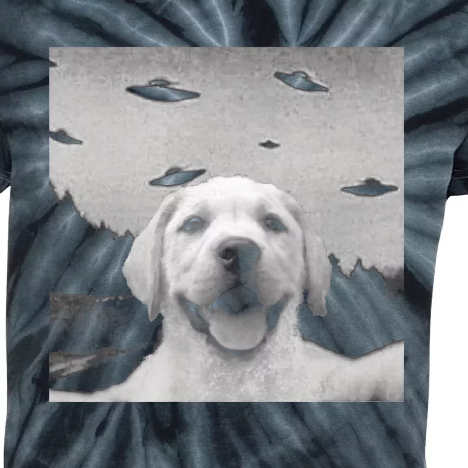 Funny Meme Labrador Selfie With Alien Ufos Funny Dog Lovers Aliens Ufo Kids Tie-Dye T-Shirt