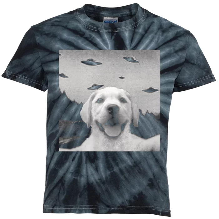 Funny Meme Labrador Selfie With Alien Ufos Funny Dog Lovers Aliens Ufo Kids Tie-Dye T-Shirt