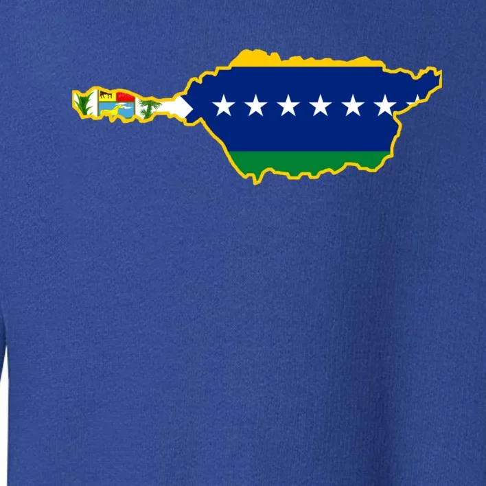 Flag Map Of Apure State Of Venezuela Gift Toddler Sweatshirt