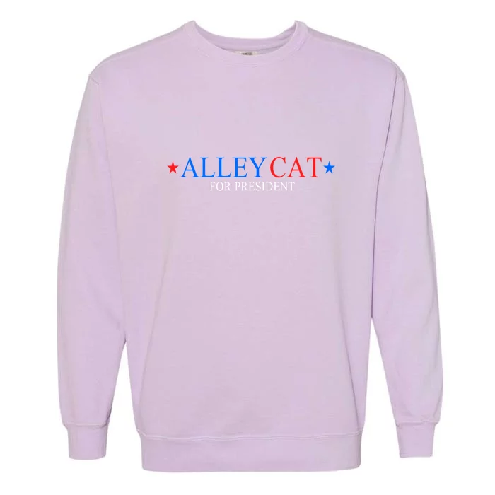 Funny Morals Of An Alley Cat For President 2024 Gift Garment-Dyed Sweatshirt