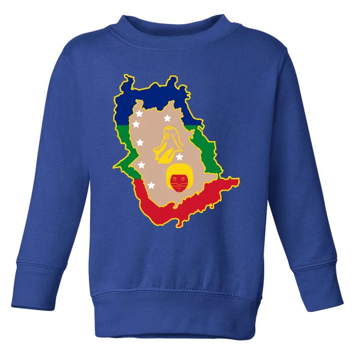 Flag Map Of Amazonas Venezuela Gift Toddler Sweatshirt