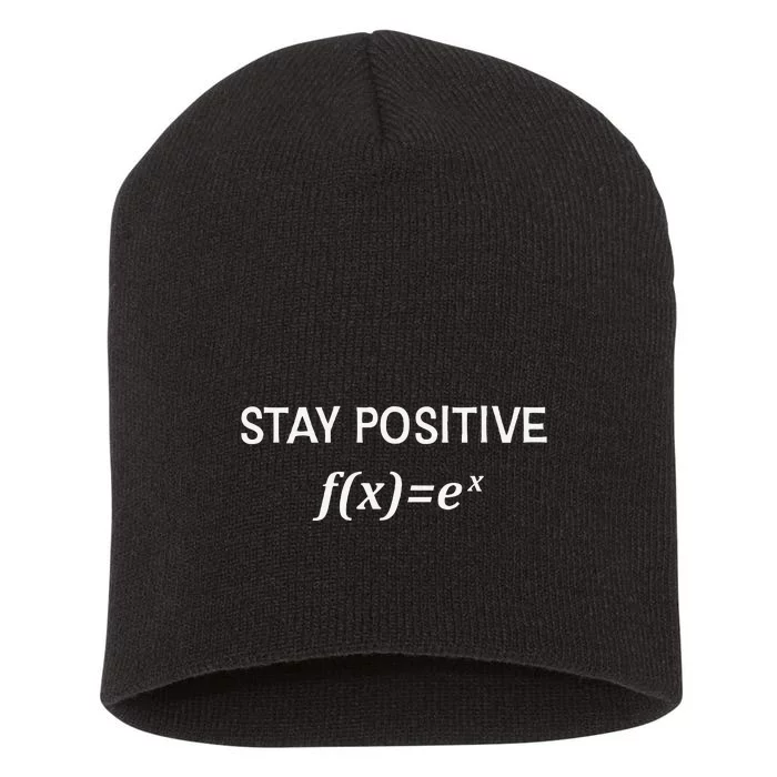 Funny Math Stay Positive Math Exponential Function Cute Math Short Acrylic Beanie