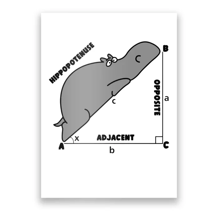 Funny Math Teacher Humorous Math Lover Gift Poster