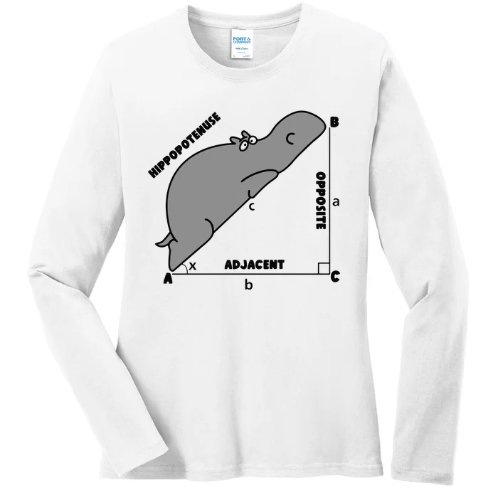 Funny Math Teacher Humorous Math Lover Gift Ladies Long Sleeve Shirt