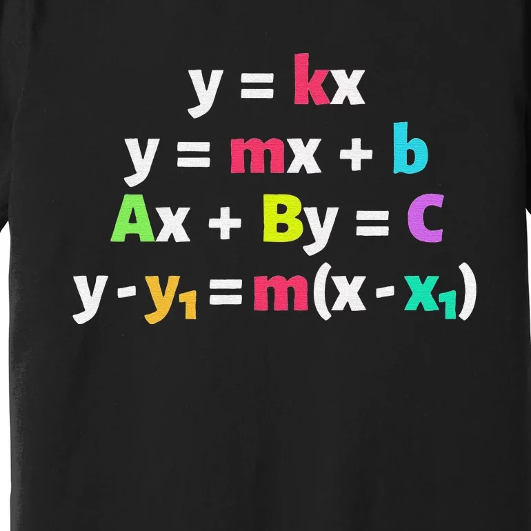 funny Math Teacher Linear Equations Design Premium T-Shirt