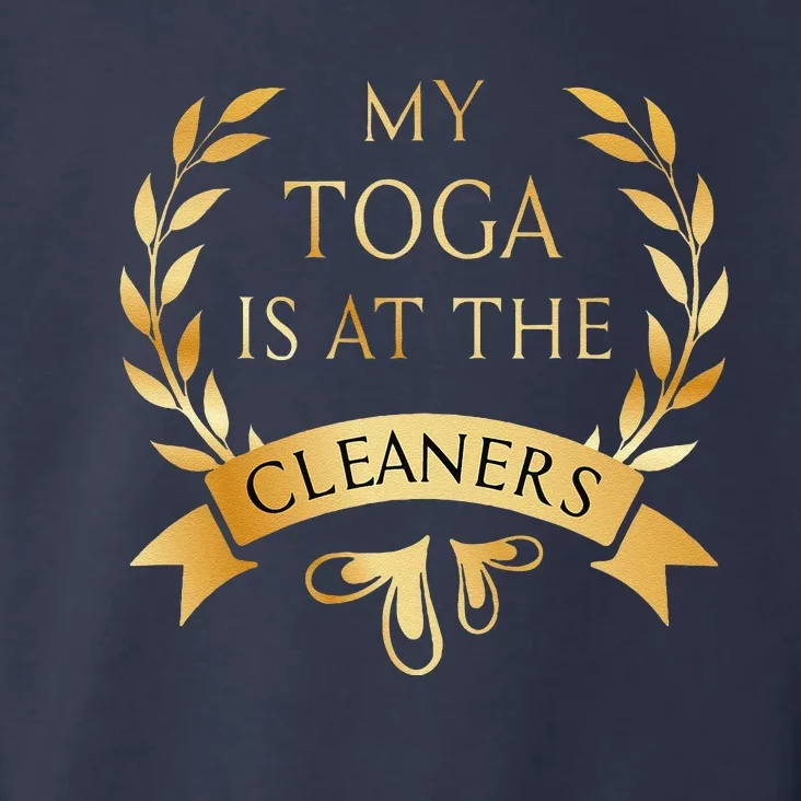 Funny My Toga Is At The Cleaners Party Toddler Hoodie