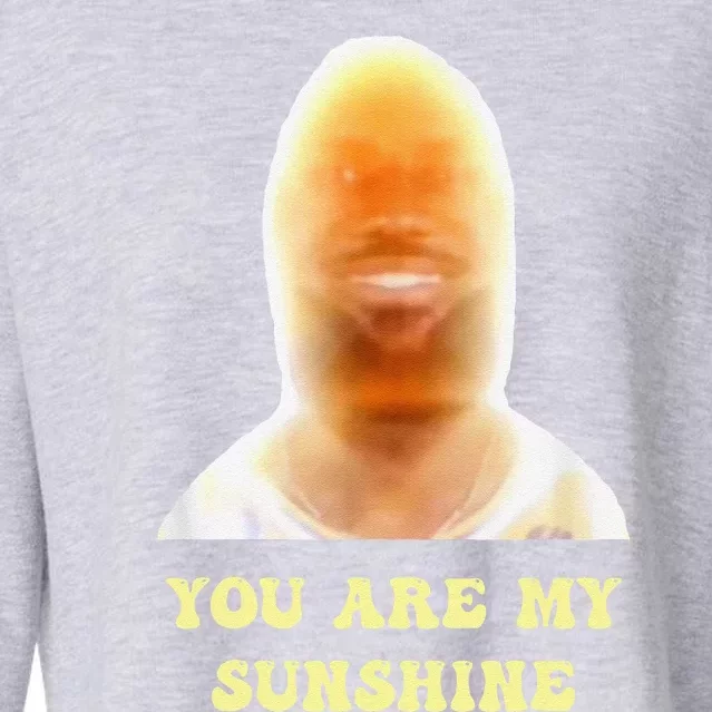 Funny Meme You Are My Sunshine Funny Joke Cropped Pullover Crew