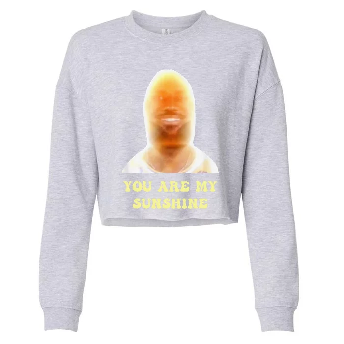 Funny Meme You Are My Sunshine Funny Joke Cropped Pullover Crew