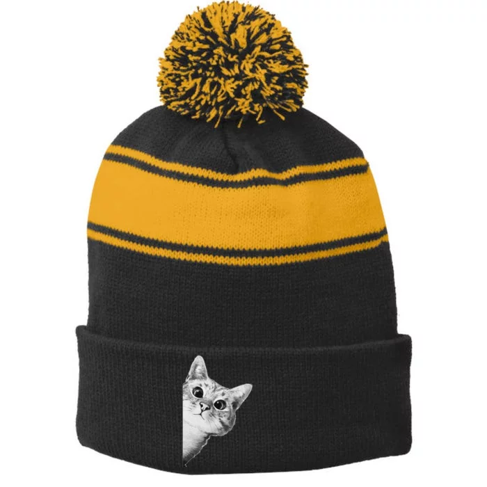 Funny Ninja Cat Meme Stripe Pom Pom Beanie