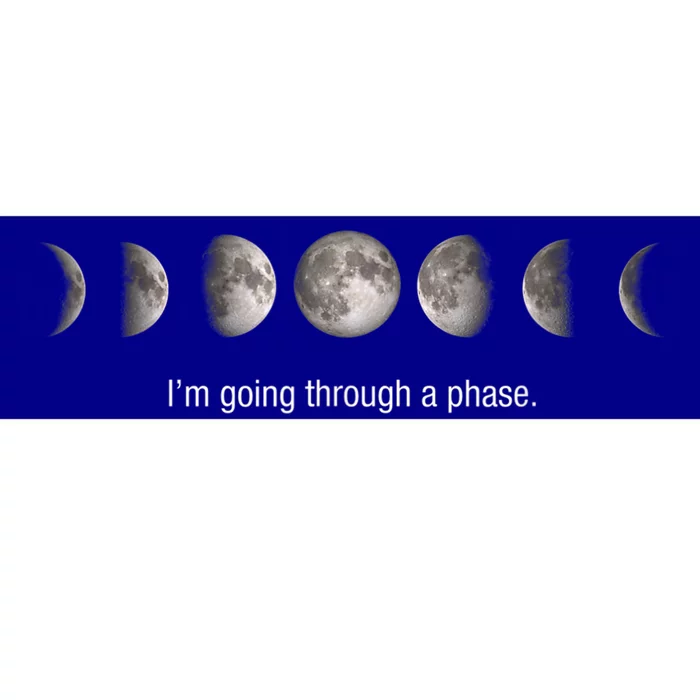 Funny Neil DeGrasse Gift Tyson Moon Phases Gift Bumper Sticker