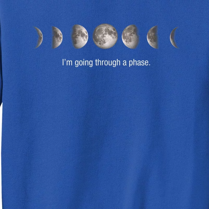 Funny Neil DeGrasse Gift Tyson Moon Phases Gift Tall Sweatshirt