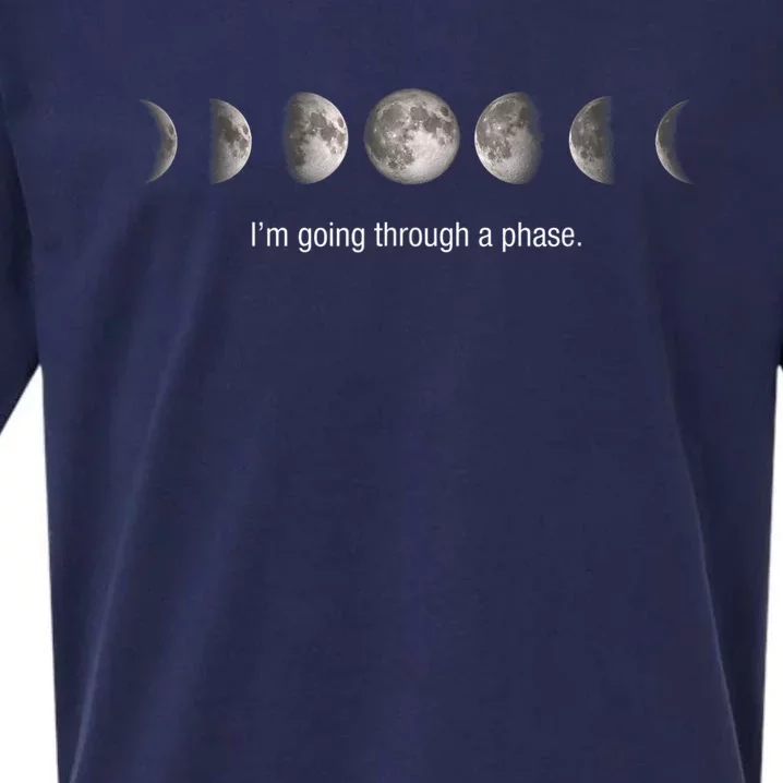 Funny Neil DeGrasse Gift Tyson Moon Phases Gift Sueded Cloud Jersey T-Shirt