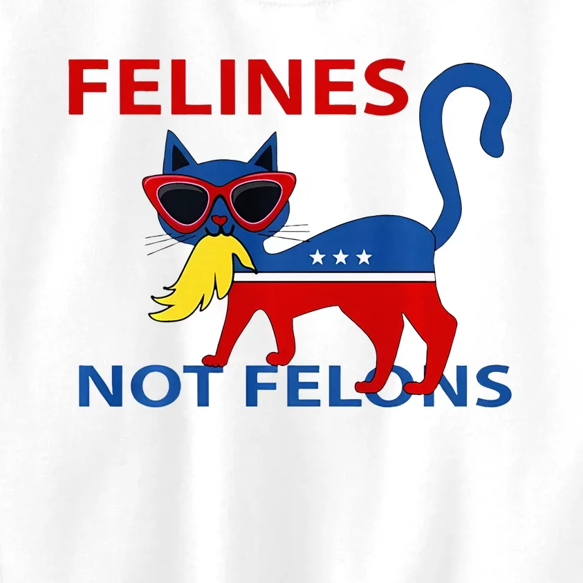 Felines Not Felons Funny Kamala Cat Lady With Trump Hair Kids Sweatshirt