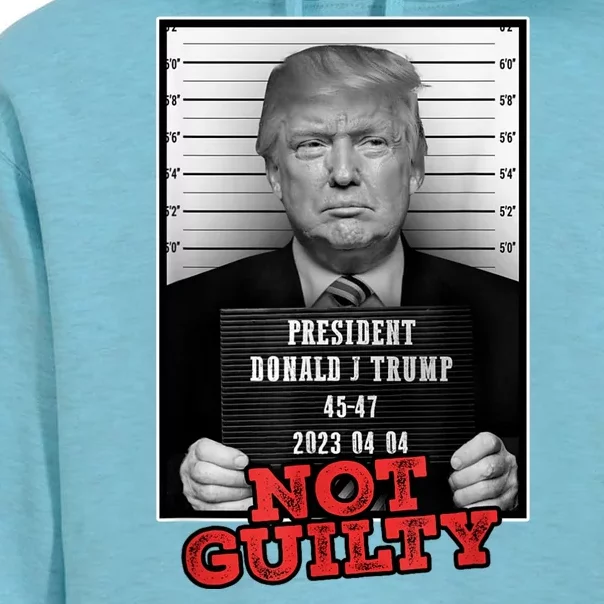 Funny Not Guilty Donald Trump Mug Shot Unisex Surf Hoodie