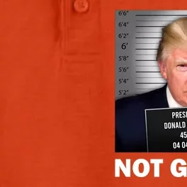 Funny Not Guilty Donald Trump Mug Shot Dry Zone Grid Performance Polo